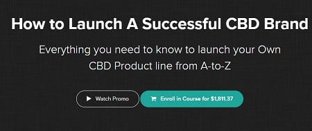 Bee Thomas & Matt Sibert : How To Launch A Successful CBD Brand