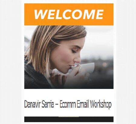 Ecomm Email Workshop with Danavir Sarria