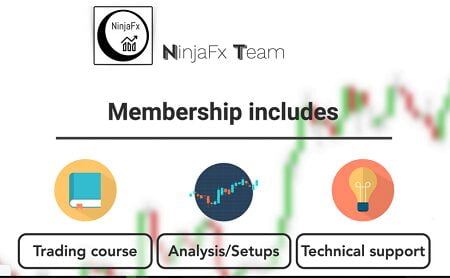 Ninja FX PDF Course