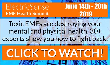 EMF Health Summit 2019 (UP)