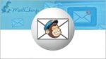 Email Marketing : The Complete Guide to MailChimp