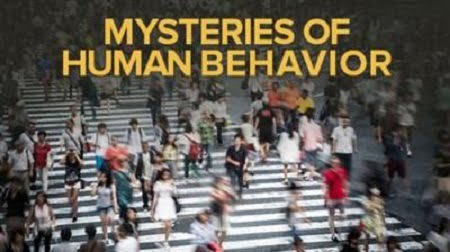 TTC Video : Understanding the Mysteries of Human Behavior