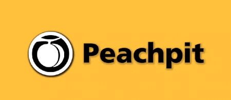 Peachpit - Designing Effective Logos