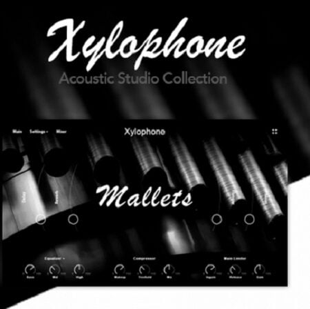 Muze Xylophone (KONTAKT)