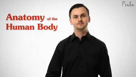 PROKO - Anatomy of the Human Body Course