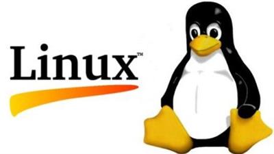 Udemy - Linux Fundamentals with Shaun James