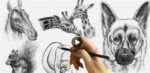 Skillshare - Animal Drawing - Draw and Sketch Animal with Pencil