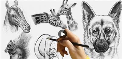 Skillshare - Animal Drawing - Draw and Sketch Animal with Pencil