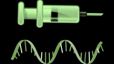 Udemy - GMP Compliance for Corona Vaccine Production