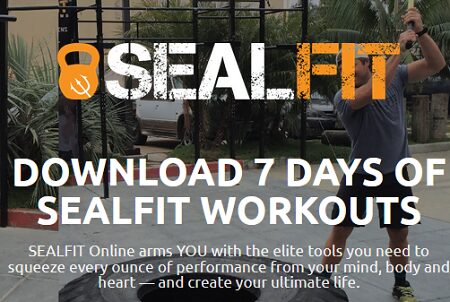 Sealfit - Grinder PT