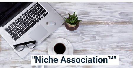 Ryan Lee - Niche Association Workshop (Update 1)