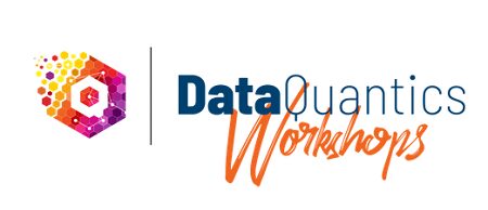 DataQuantics - Track Your Success Workshop Course