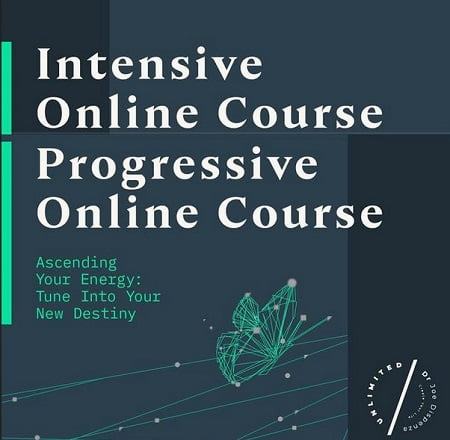 Progressive and Intensive Online Course Bundle by Dr Joe Dispenza