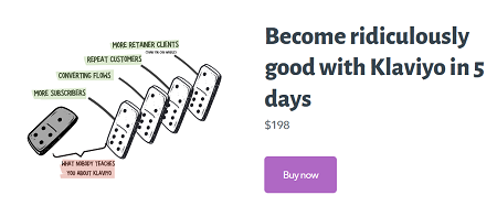 Robert Allen - Become Ridiculously Good with Klaviyo in 5 days