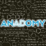 Anadomy - Nicholas Kusmich & Jonathan Musgrave