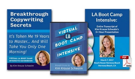 Virtual LA Boot Camp Intensive by Kim Krause Schwalm