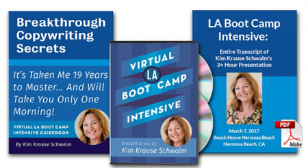 Kim Krause Schwalm – Virtual LA Boot Camp Intensive