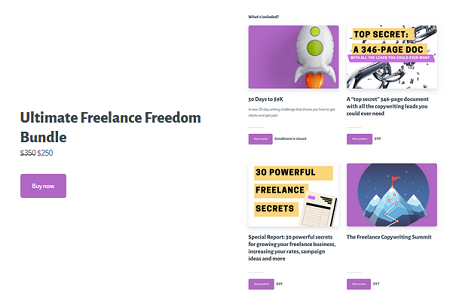 Robert Allen – Ultimate Freelance Freedom Bundle