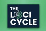 The Loci Cycle by Chris Munch