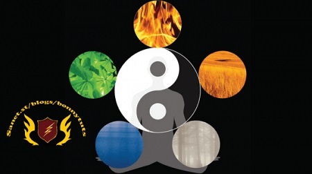 The 5 Element Theory: How to Enhance Health and Healing by Michael Hetherington