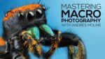Mastering Macro Photography With Andres Moline - Fstoppers