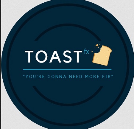 Toast FX Trading Course
