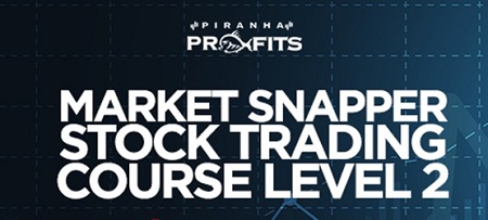 Adam Khoo - Piranha Profits - Stock Trading Market Snapper Level (2)