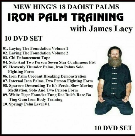 James Patrick Lacy - The 18 Daoist Palms Iron Palm Training